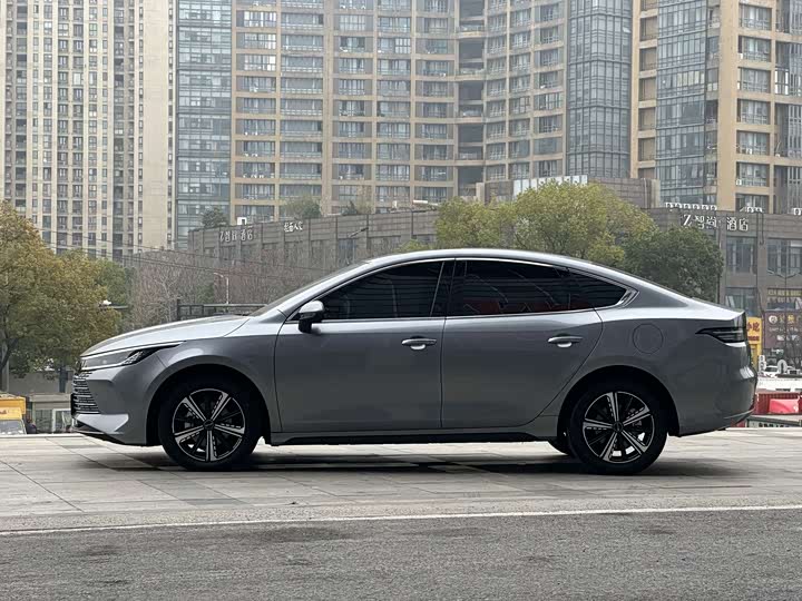 Фото 4 - BYD Destroyer 05