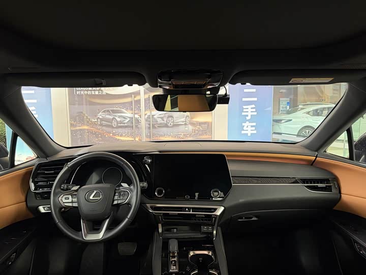 Фото 4 - Lexus RX