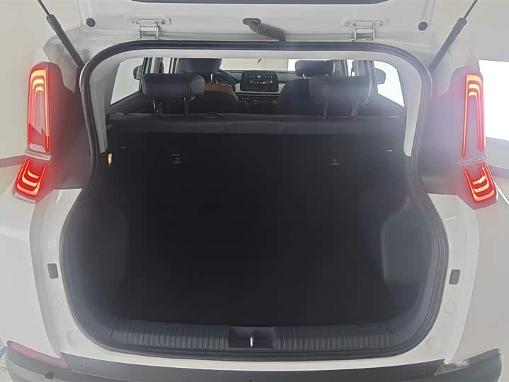 Фото 4 - Bestune NAT