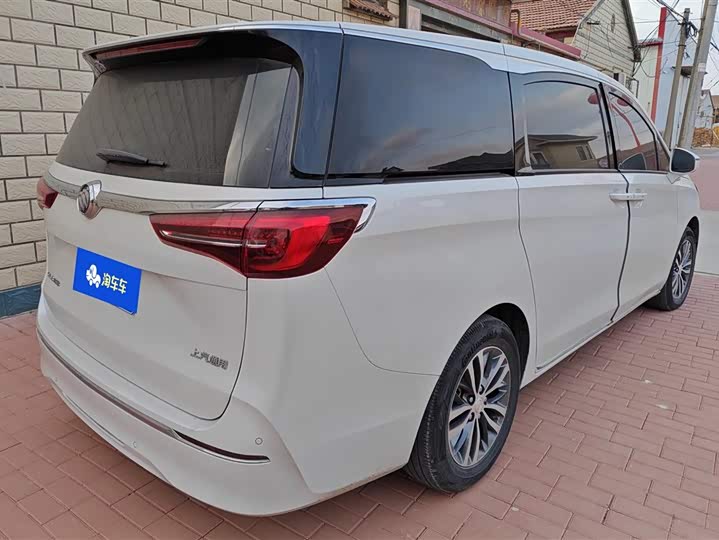 Фото 3 - Buick GL8 ES