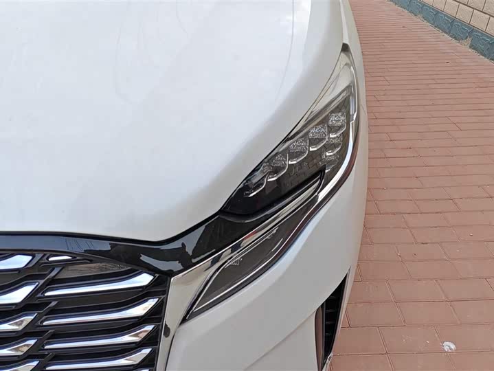 Фото 5 - Buick GL8 ES