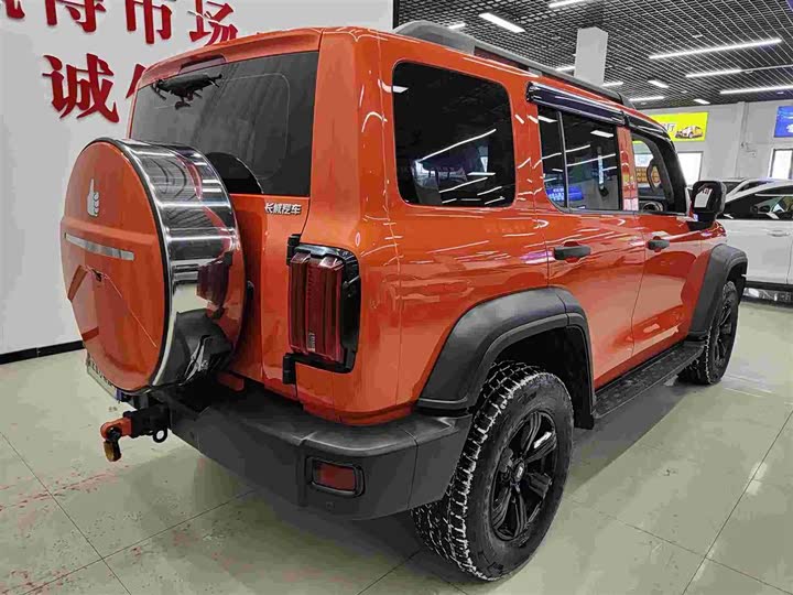 Фото 4 - Tank 300