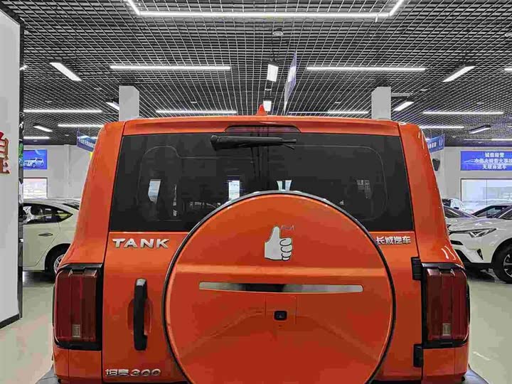 Фото 5 - Tank 300