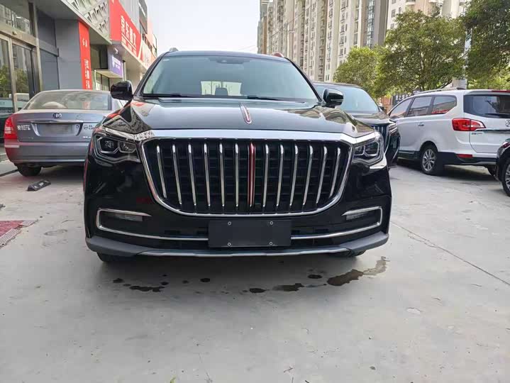 Фото 8 - Hongqi HS7