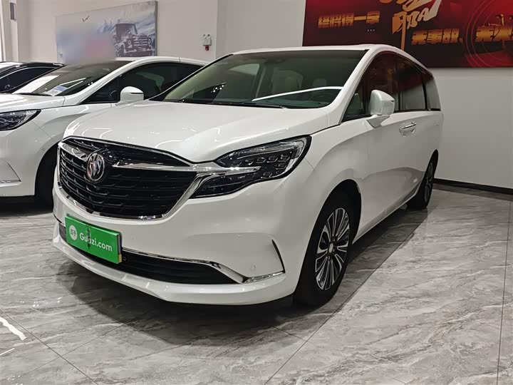 Фото 2 - Buick GL8 ES