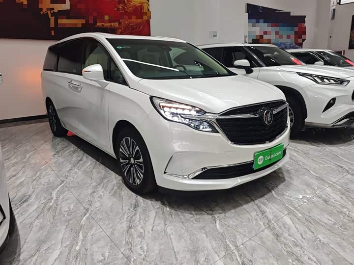 Фото 4 - Buick GL8 ES