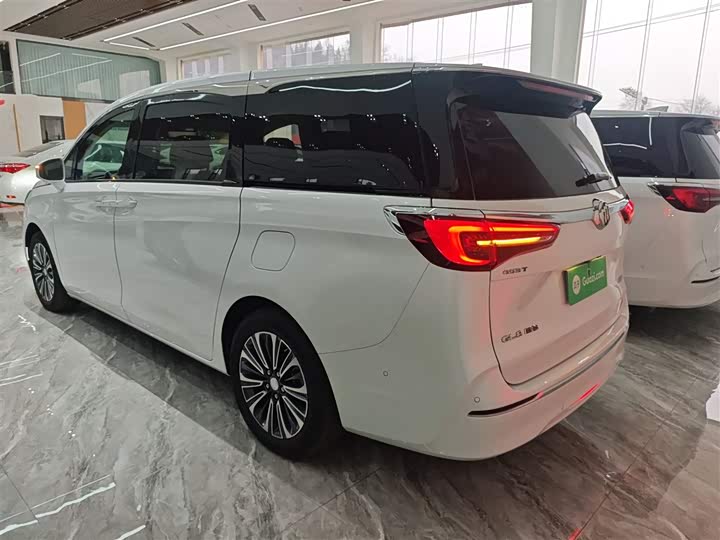 Фото 5 - Buick GL8 ES