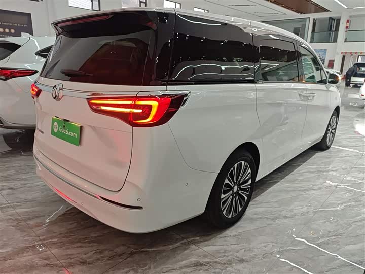 Фото 7 - Buick GL8 ES