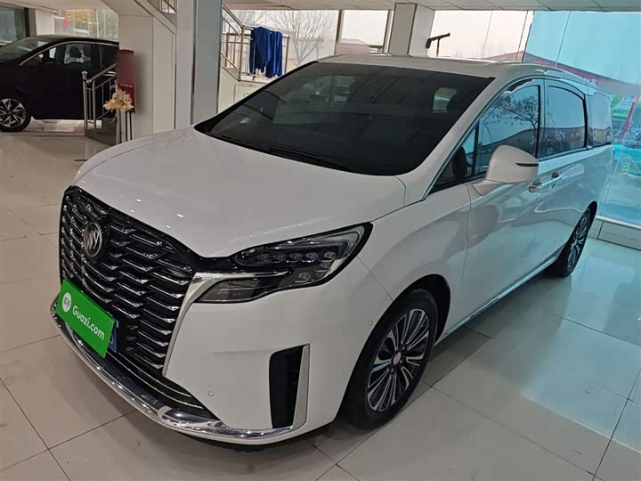 Фото 2 - Buick GL8 ES