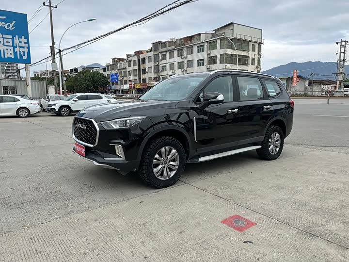 Фото 2 - Maxus D90 Pro