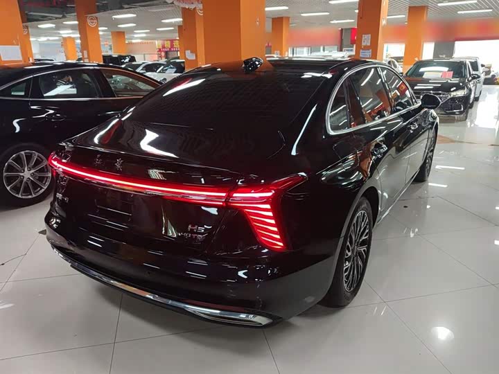 Фото 7 - Hongqi H5
