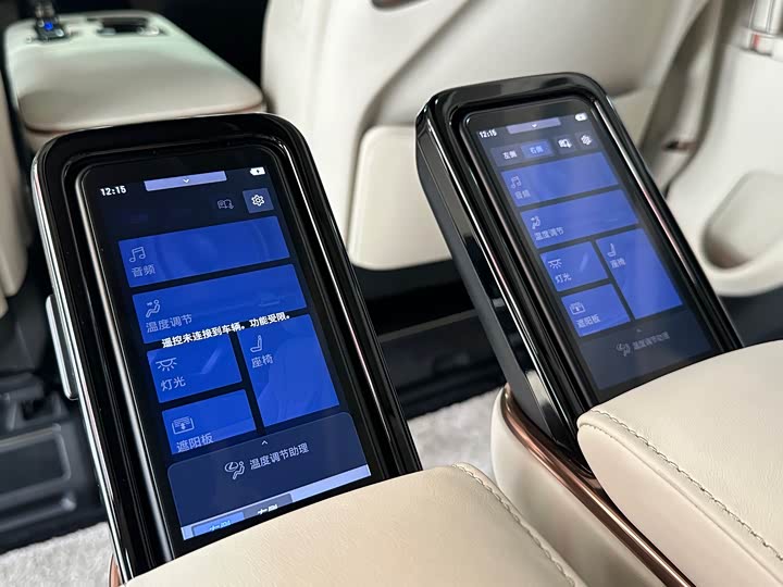 Фото 9 - Lexus LM