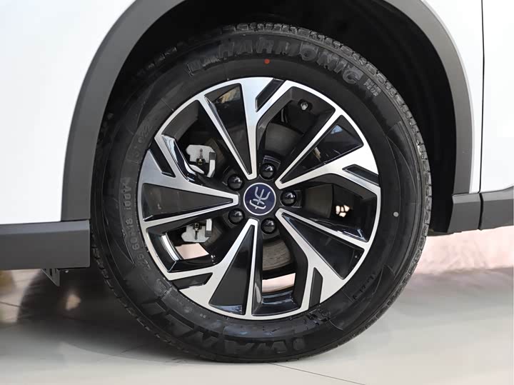 Фото 4 - BYD Song Pro Hybrid