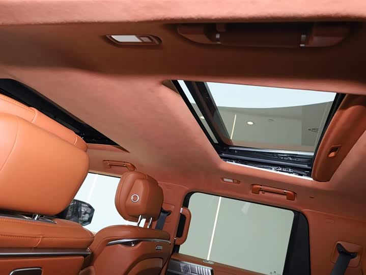 Фото 4 - Dongfeng Mengshi M-Hero 917