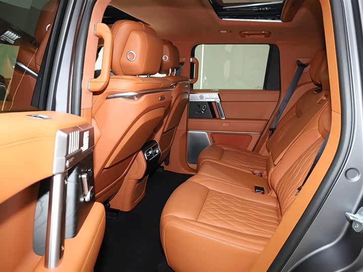 Фото 6 - Dongfeng Mengshi M-Hero 917