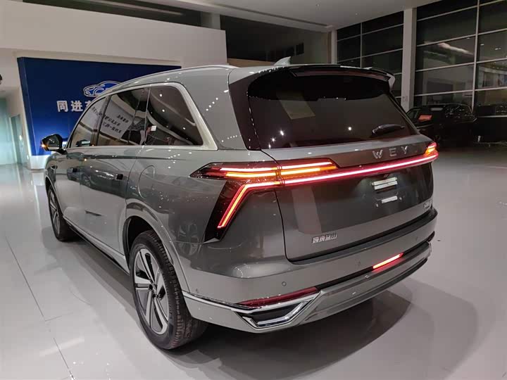 Фото 5 - Wey Lanshan