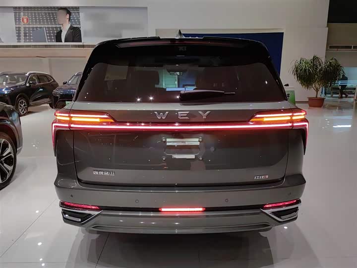 Фото 6 - Wey Lanshan