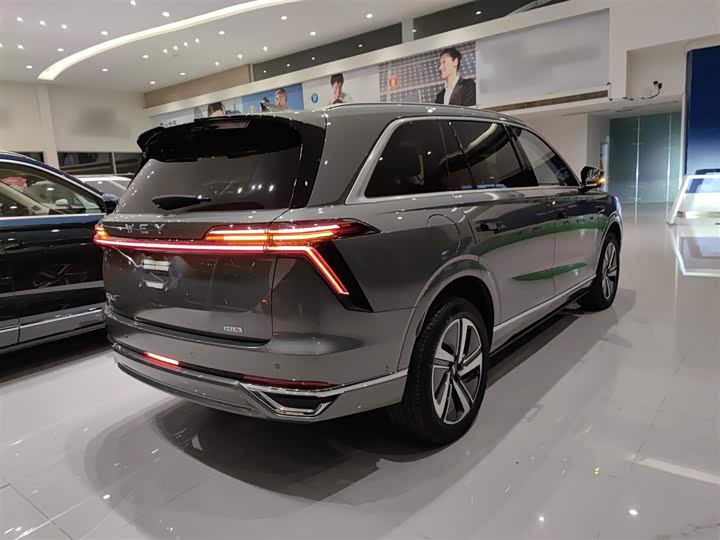 Фото 7 - Wey Lanshan