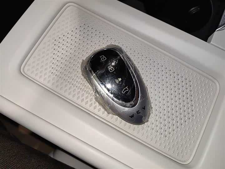 Фото 9 - Wey Lanshan