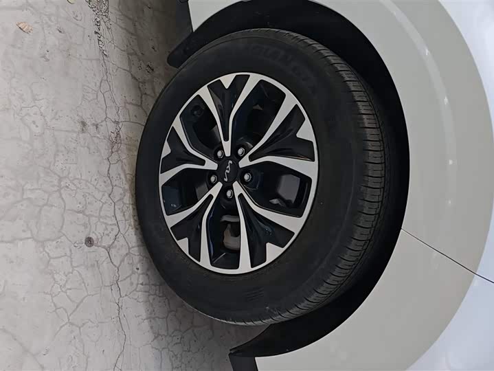 Фото 6 - Kia Carnival