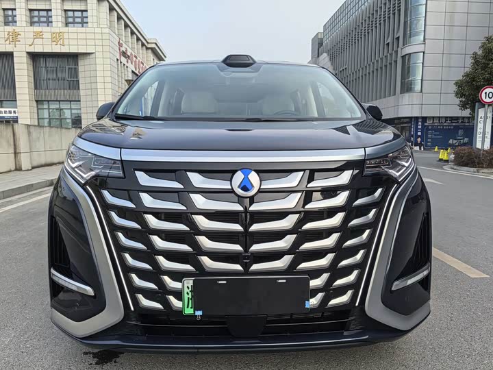 Фото 2 - Denza D9