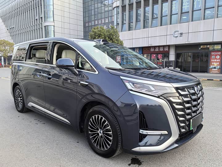 Фото 3 - Denza D9