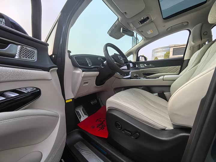 Фото 4 - Denza D9