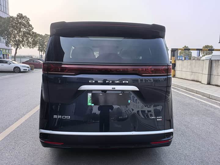 Фото 8 - Denza D9