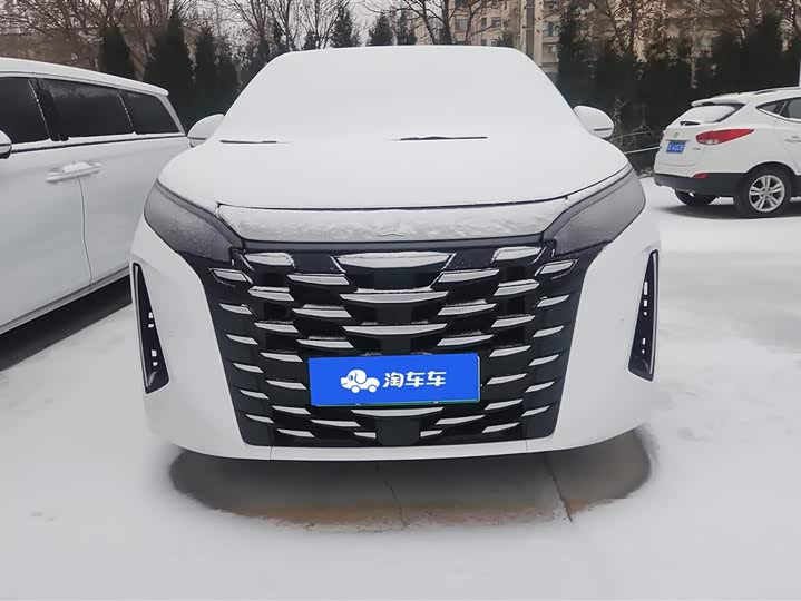 Фото 2 - BYD Xia