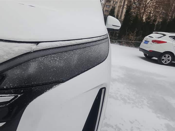 Фото 5 - BYD Xia