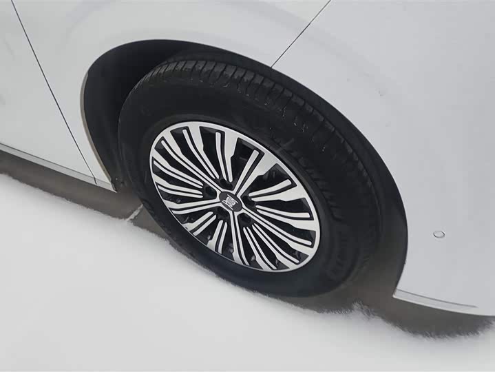 Фото 6 - BYD Xia