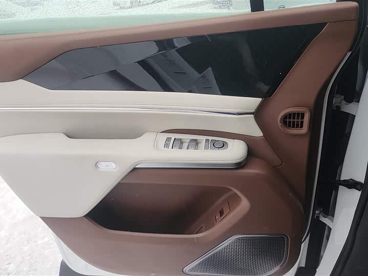 Фото 7 - BYD Xia