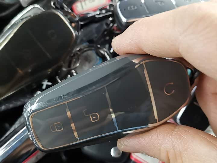 Фото 9 - BYD Song Plus Hybrid/EV