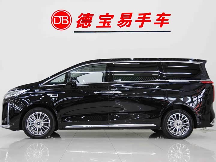 Фото 2 - Wey Gaoshan