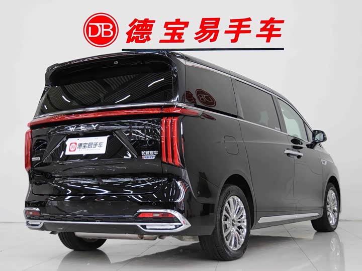 Фото 3 - Wey Gaoshan