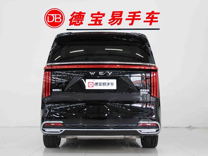 Фото 4 - Wey Gaoshan