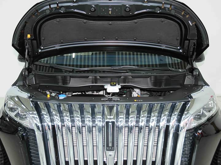 Фото 7 - Wey Gaoshan