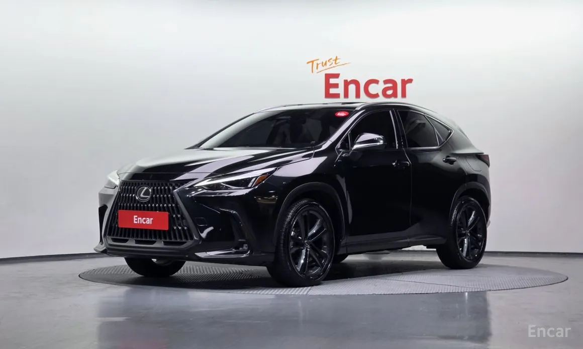 Фото 1 - Lexus NX