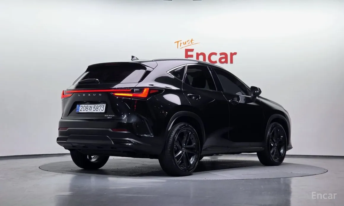 Фото 2 - Lexus NX