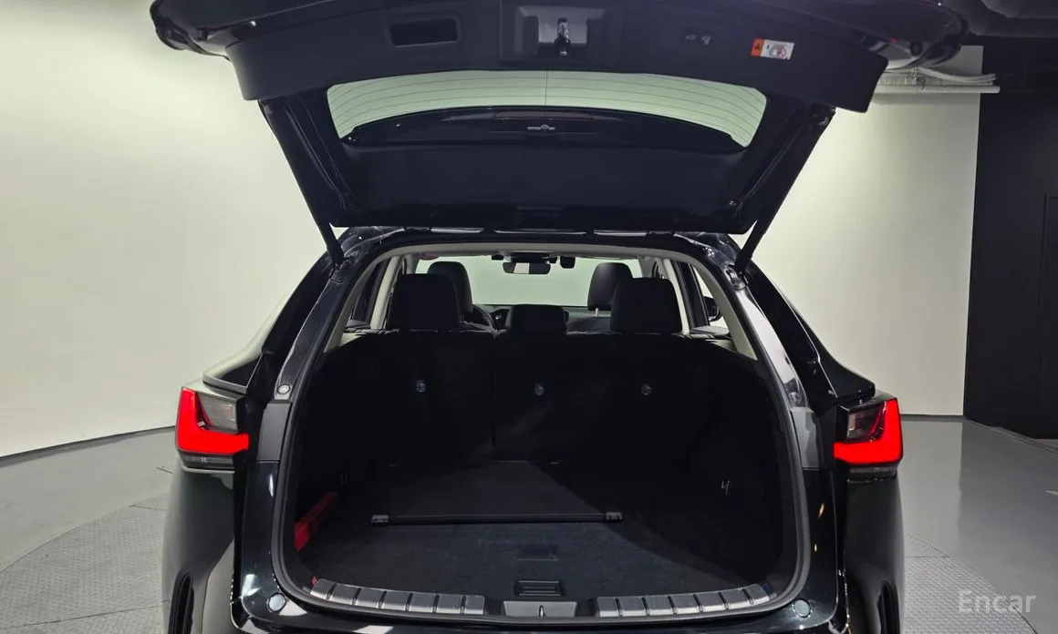 Фото 20 - Lexus NX