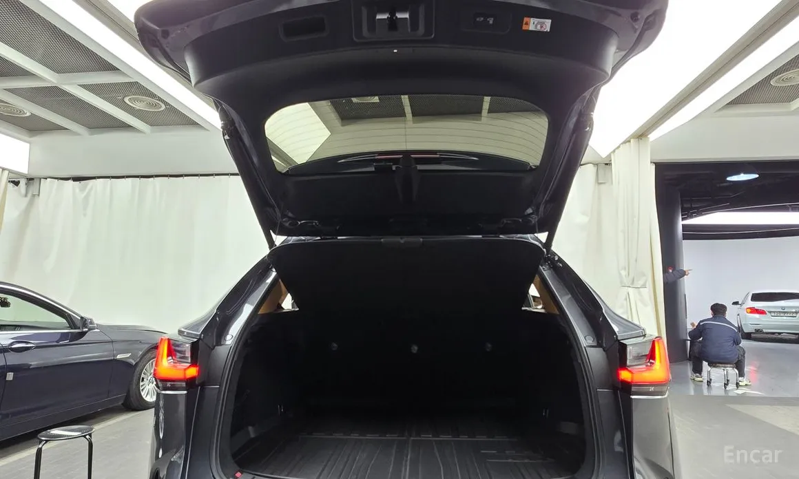 Фото 20 - Lexus NX