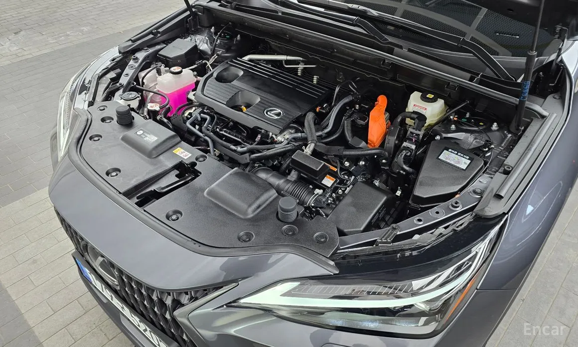 Фото 6 - Lexus NX