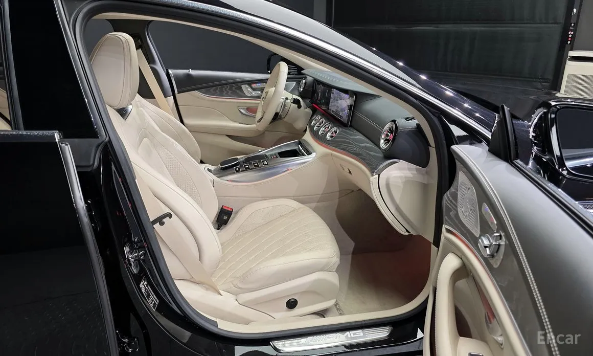 Фото 12 - Mercedes-Benz AMG GT