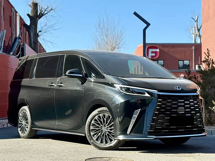 Фото 1 - Lexus LM