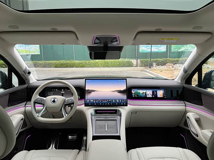 Фото 8 - Denza N9