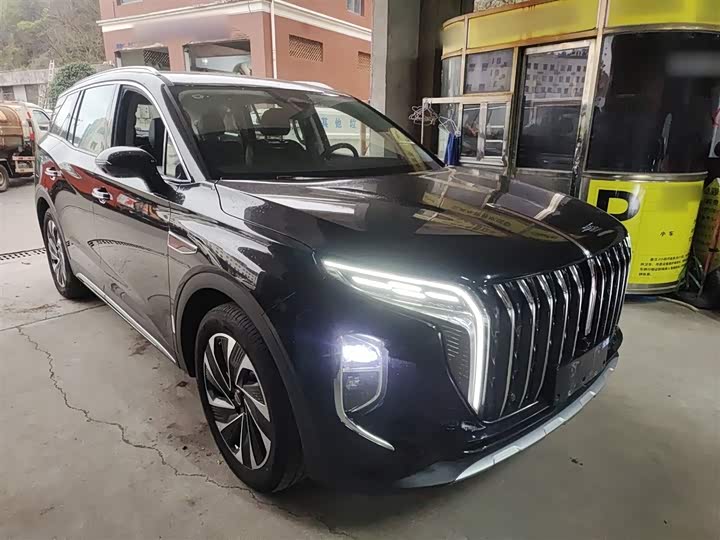 Фото 4 - Hongqi HS7 Hybrid