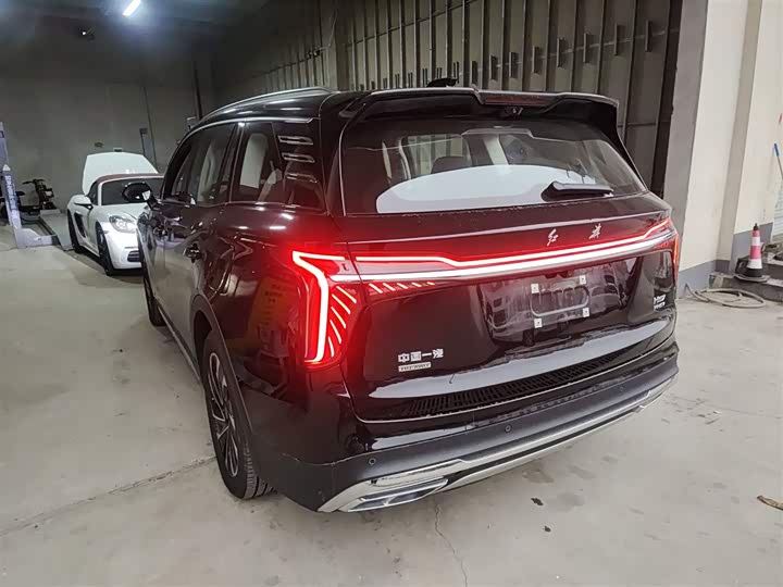 Фото 5 - Hongqi HS7 Hybrid