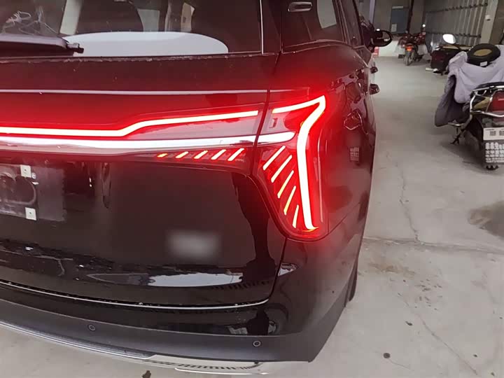 Фото 8 - Hongqi HS7 Hybrid