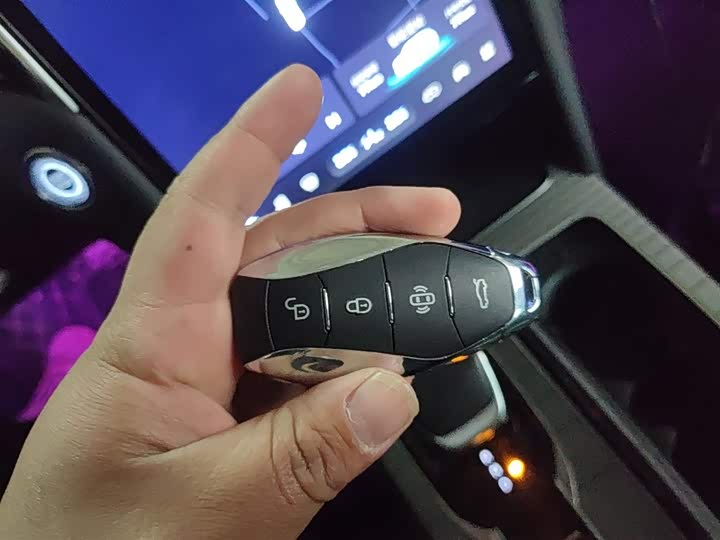 Фото 9 - Hongqi HS7 Hybrid