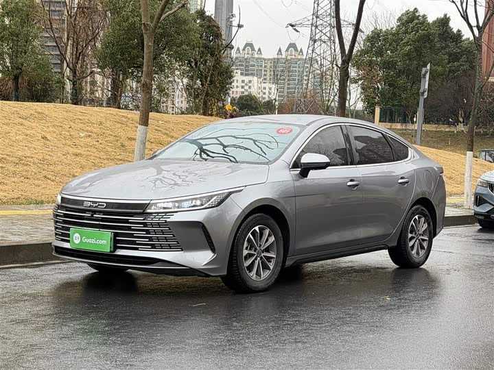 Фото 2 - BYD Destroyer 05